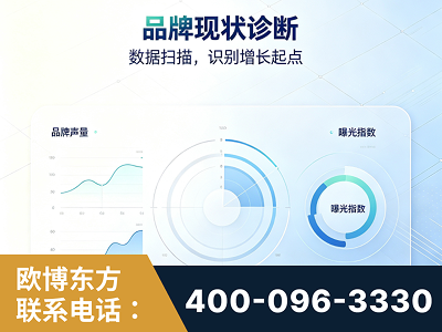 广德-品牌现状诊断