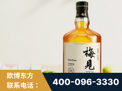 广德-梅见青梅酒